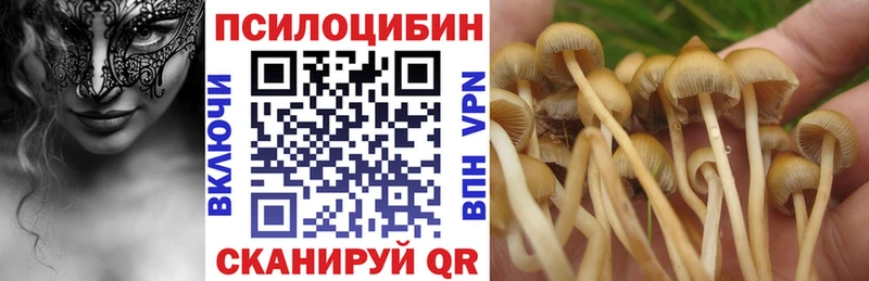 Псилоцибиновые грибы MAGIC MUSHROOMS  Новозыбков 